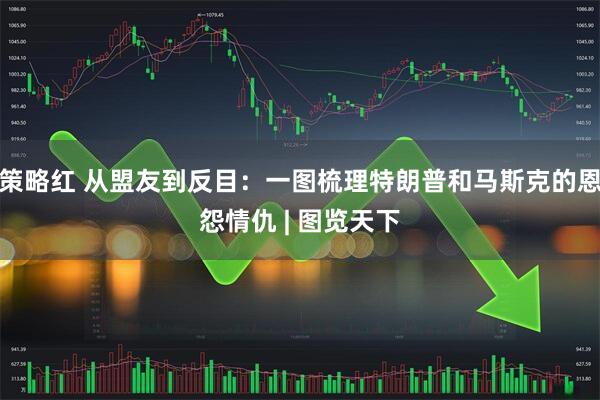 策略红 从盟友到反目：一图梳理特朗普和马斯克的恩怨情仇 | 图览天下