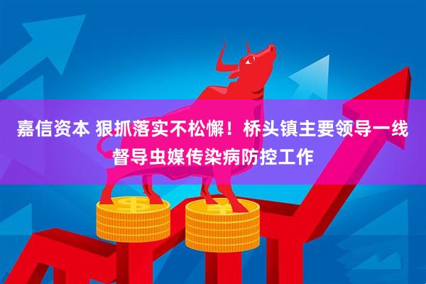 嘉信资本 狠抓落实不松懈！桥头镇主要领导一线督导虫媒传染病防控工作