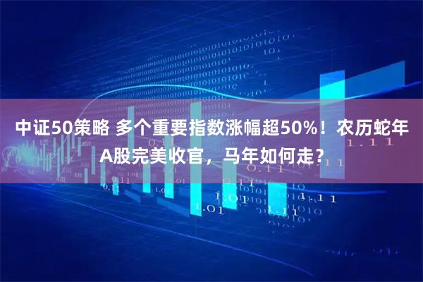 中证50策略 多个重要指数涨幅超50%！农历蛇年A股完美收官，马年如何走？