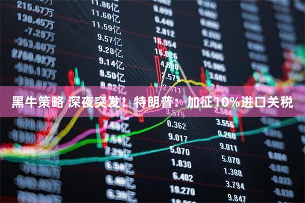 黑牛策略 深夜突发！特朗普：加征10%进口关税